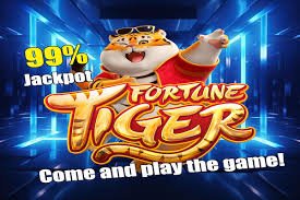 dk vip login