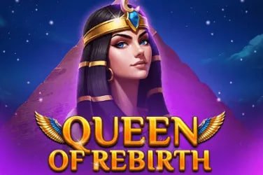 dk vip login